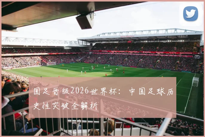 国足晋级2026世界杯：中国足球历史性突破全解析
