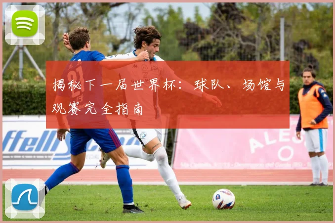 揭秘下一届世界杯：球队、场馆与观赛完全指南