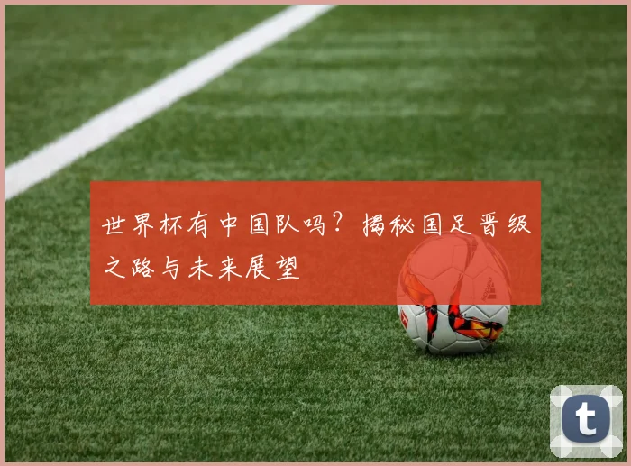 世界杯有中国队吗？揭秘国足晋级之路与未来展望