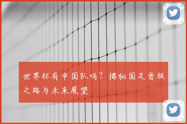 世界杯有中国队吗？揭秘国足晋级之路与未来展望