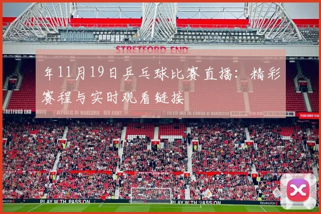 年11月19日乒乓球比赛直播：精彩赛程与实时观看链接